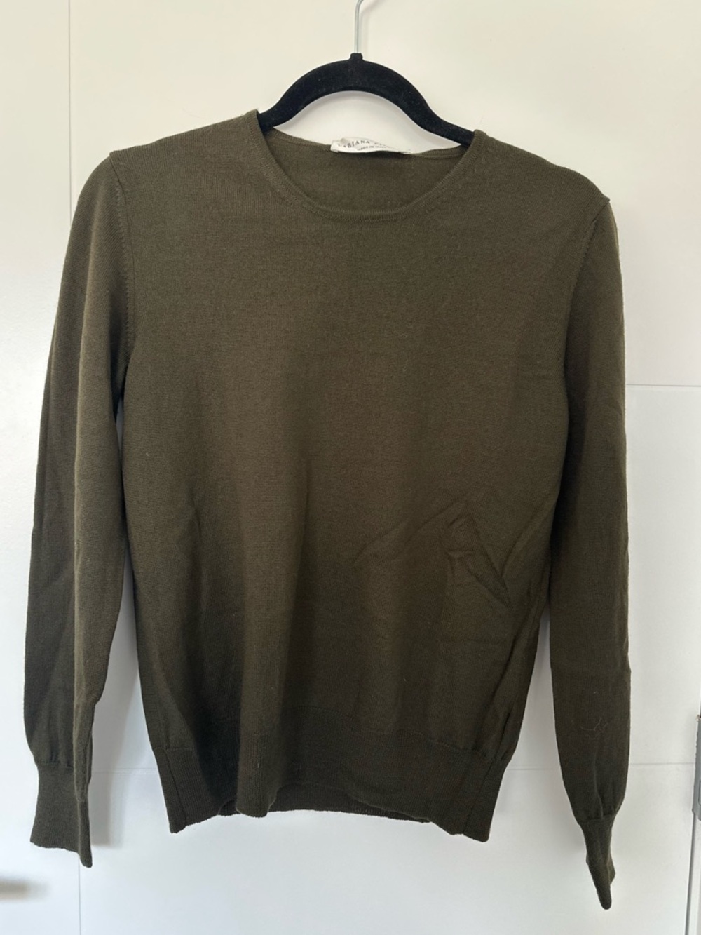 Fabiana Filippi Olive Crewneck 100% extrafine Wool Sweater - Made in Italy